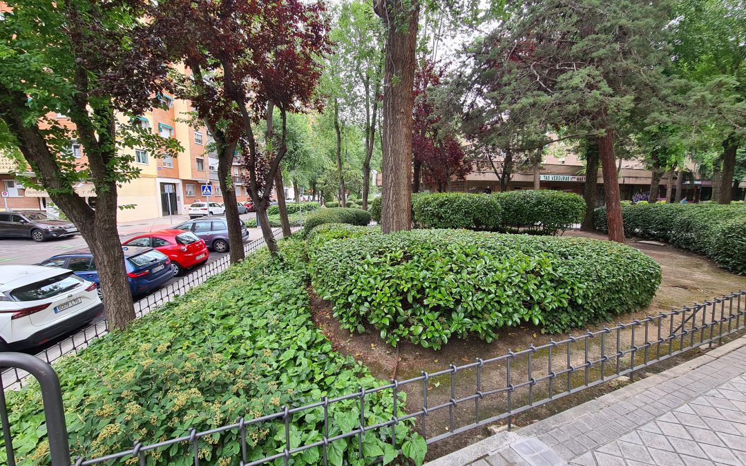 Presupuesto obra valla Finisterre